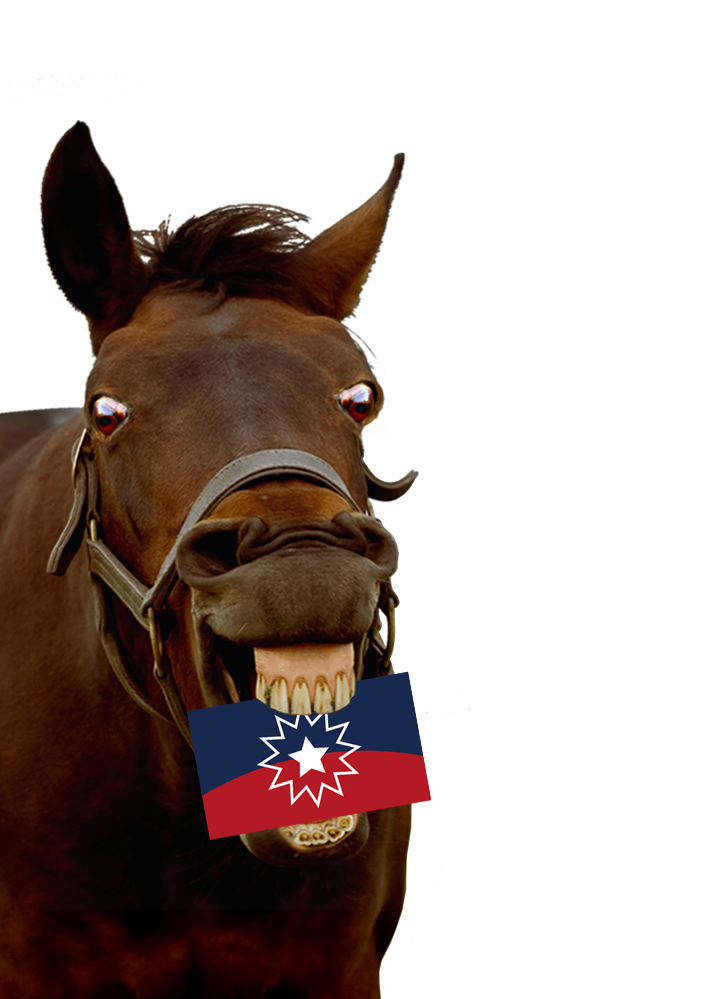 horse
