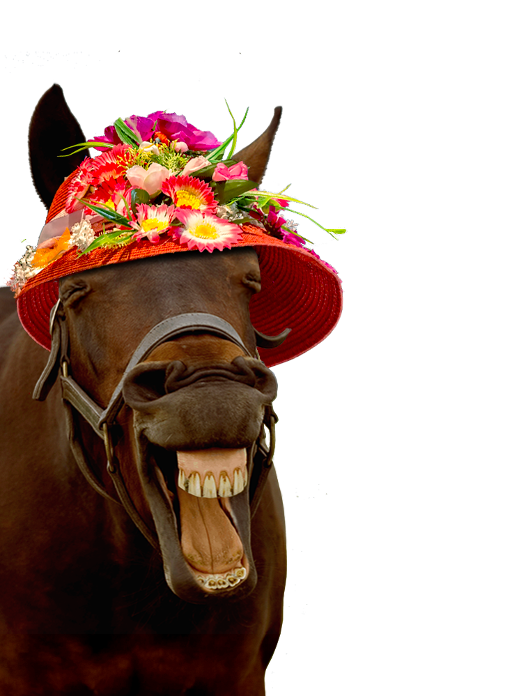 horse
