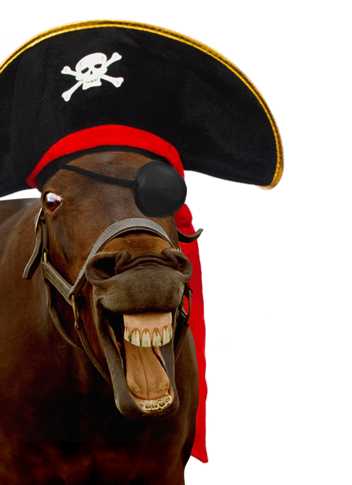 horse